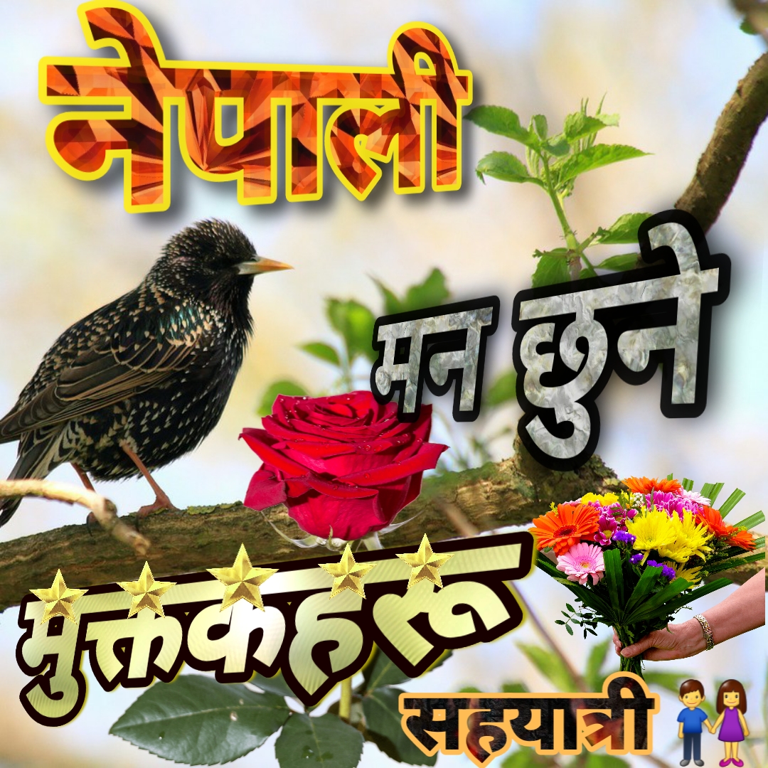 Top 50 Nepali Muktaks Collection 2081